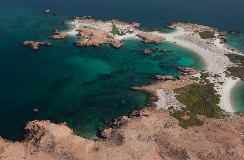 Dimaniyat Island Snorkeling