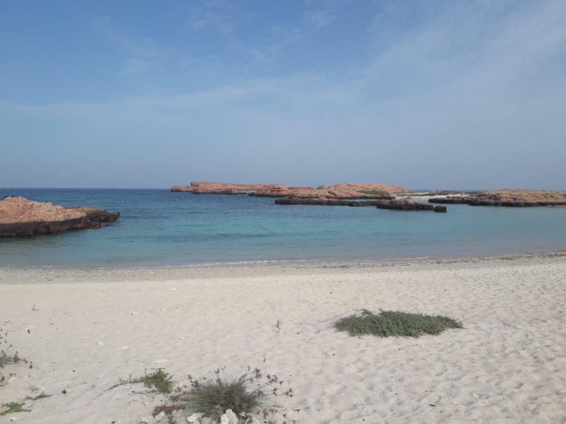 Dimaniyat Island Snorkeling